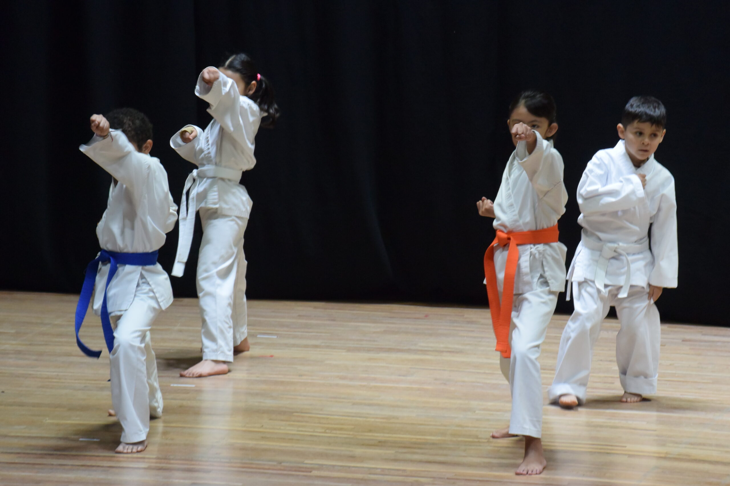 Karate-Do